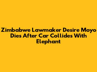 Zimbabwe Lawmaker Desire Moyo Dies After Car Collides With Elephant